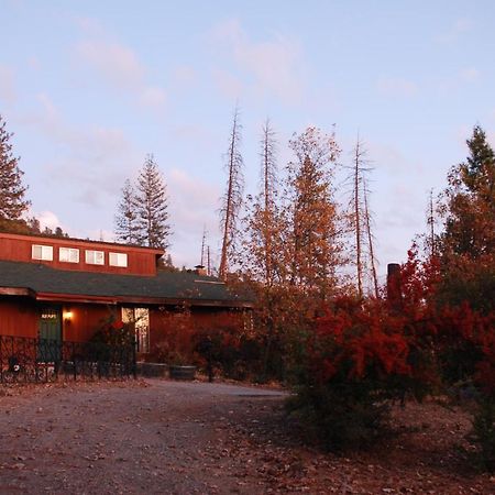 Sunny Pines Cottage Mariposa Buitenkant foto