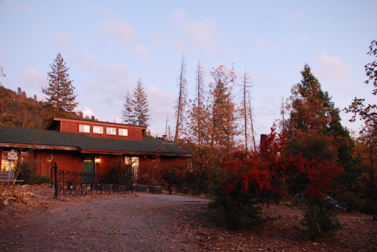 Sunny Pines Cottage Mariposa Buitenkant foto